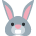:rabbit: