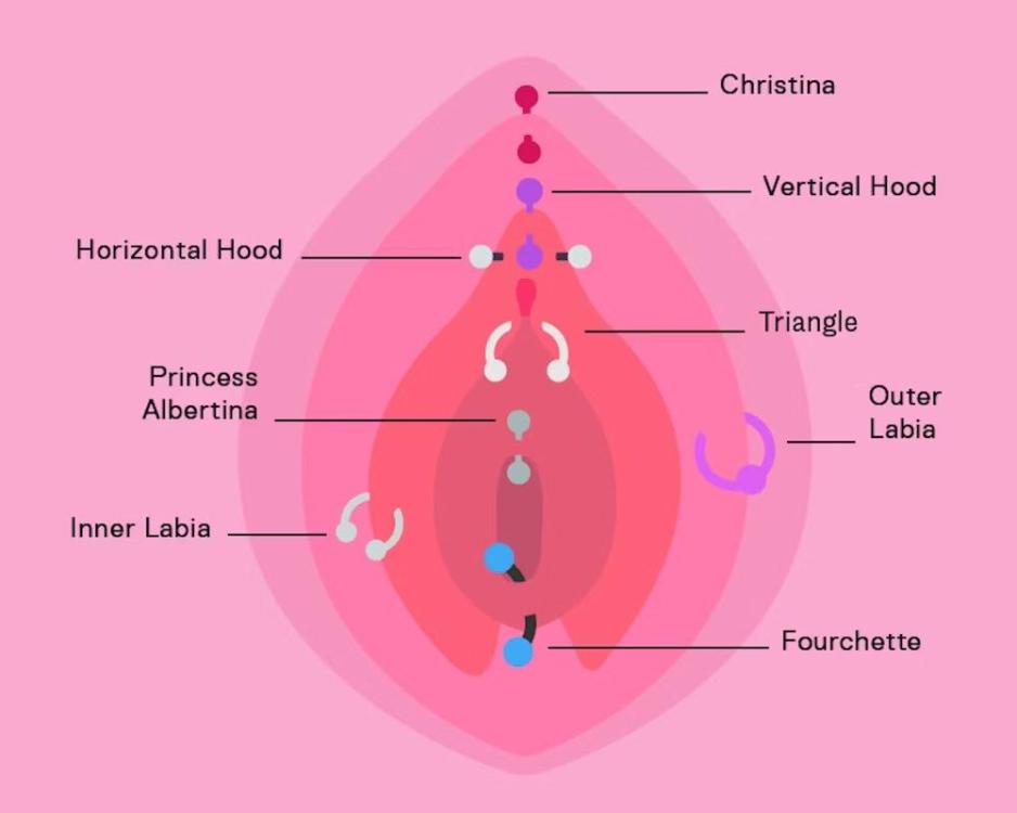 vaginal-piercings-locations.jpeg